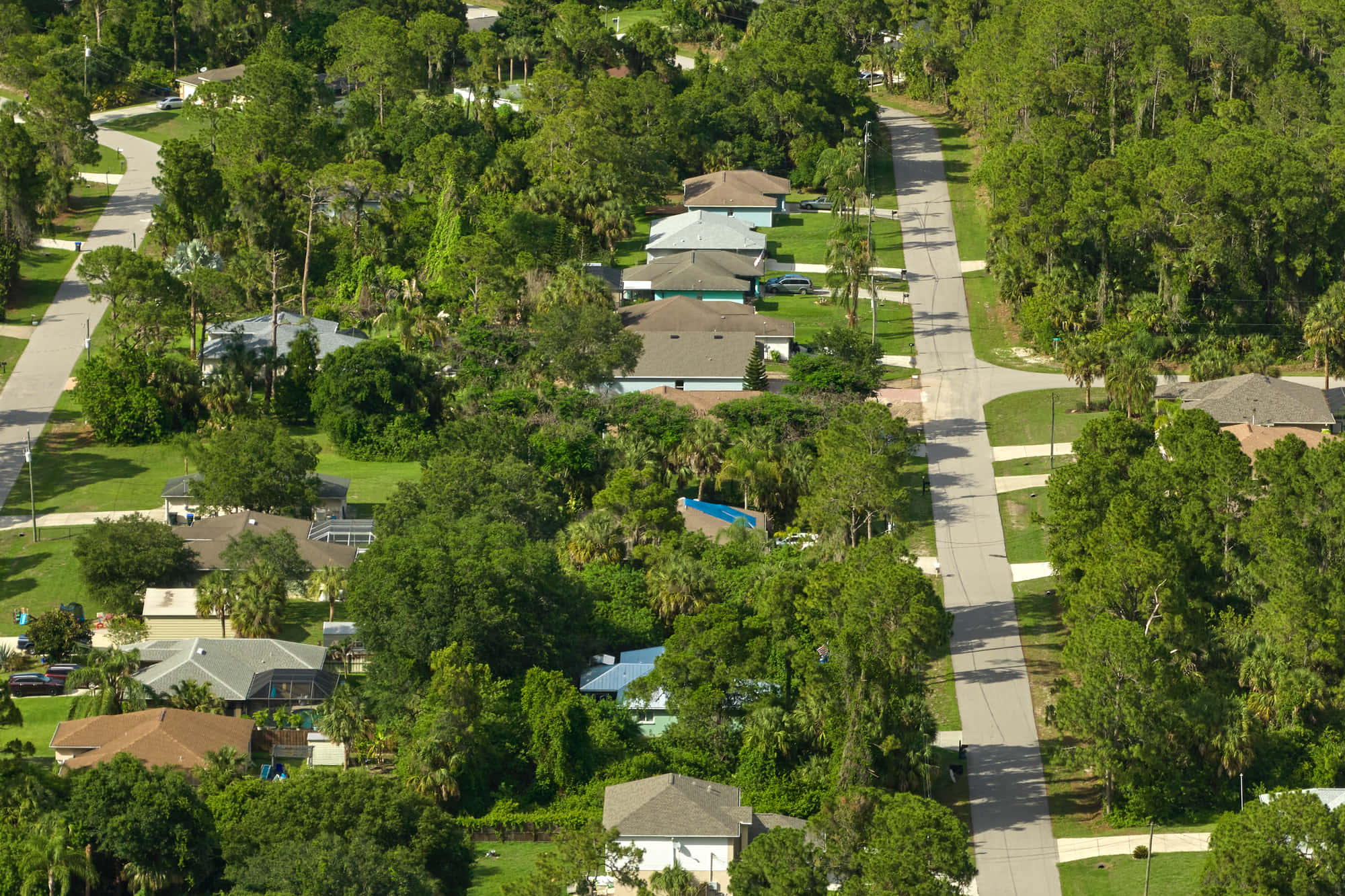 Aerial view of Central Florida homes between palm trees